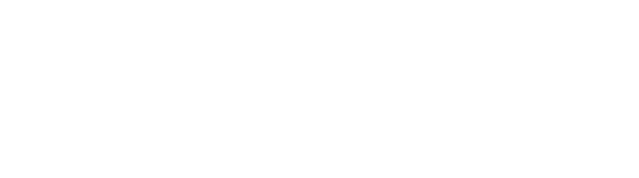 Rein's Academy